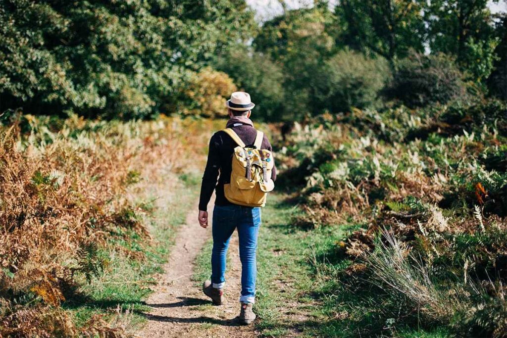 Koliko minuta hodanja dnevno je dovoljno za zdravije srce? Priroda