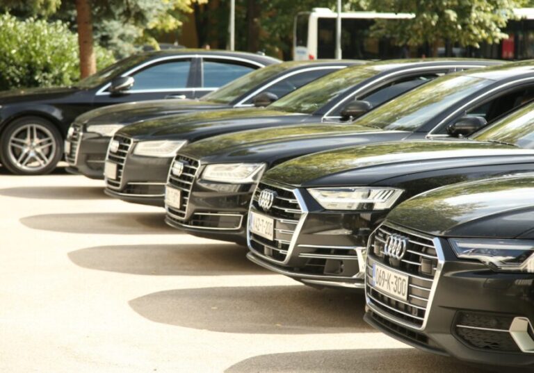 Nema nove limuzine za Skupštinu, džaba sto para ima