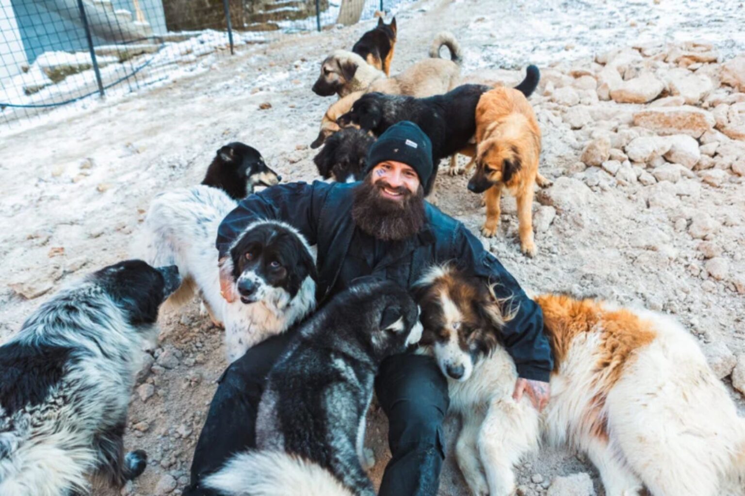 Vratio se iz Švicarske da pomaže psima