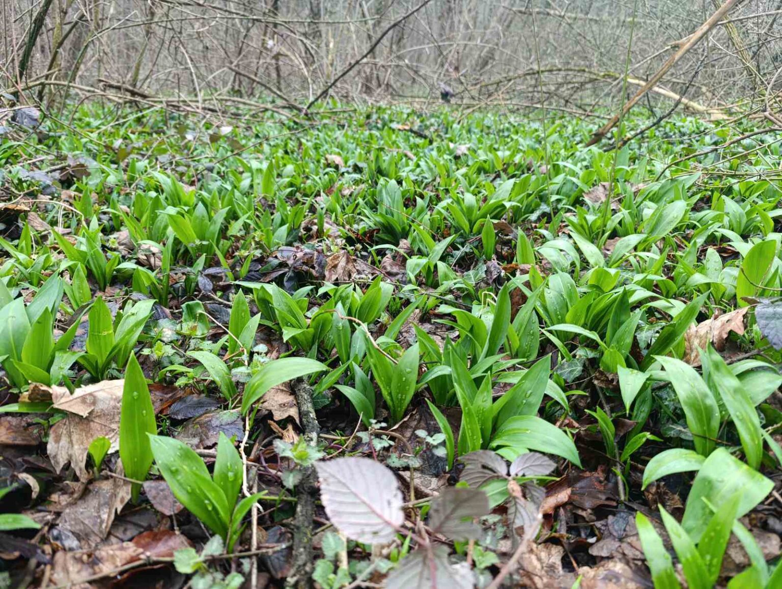 Dobro jutro: Kakva visibaba, kakvi…