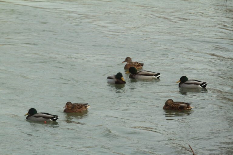 Danas sunce i oblaci, kako gdje