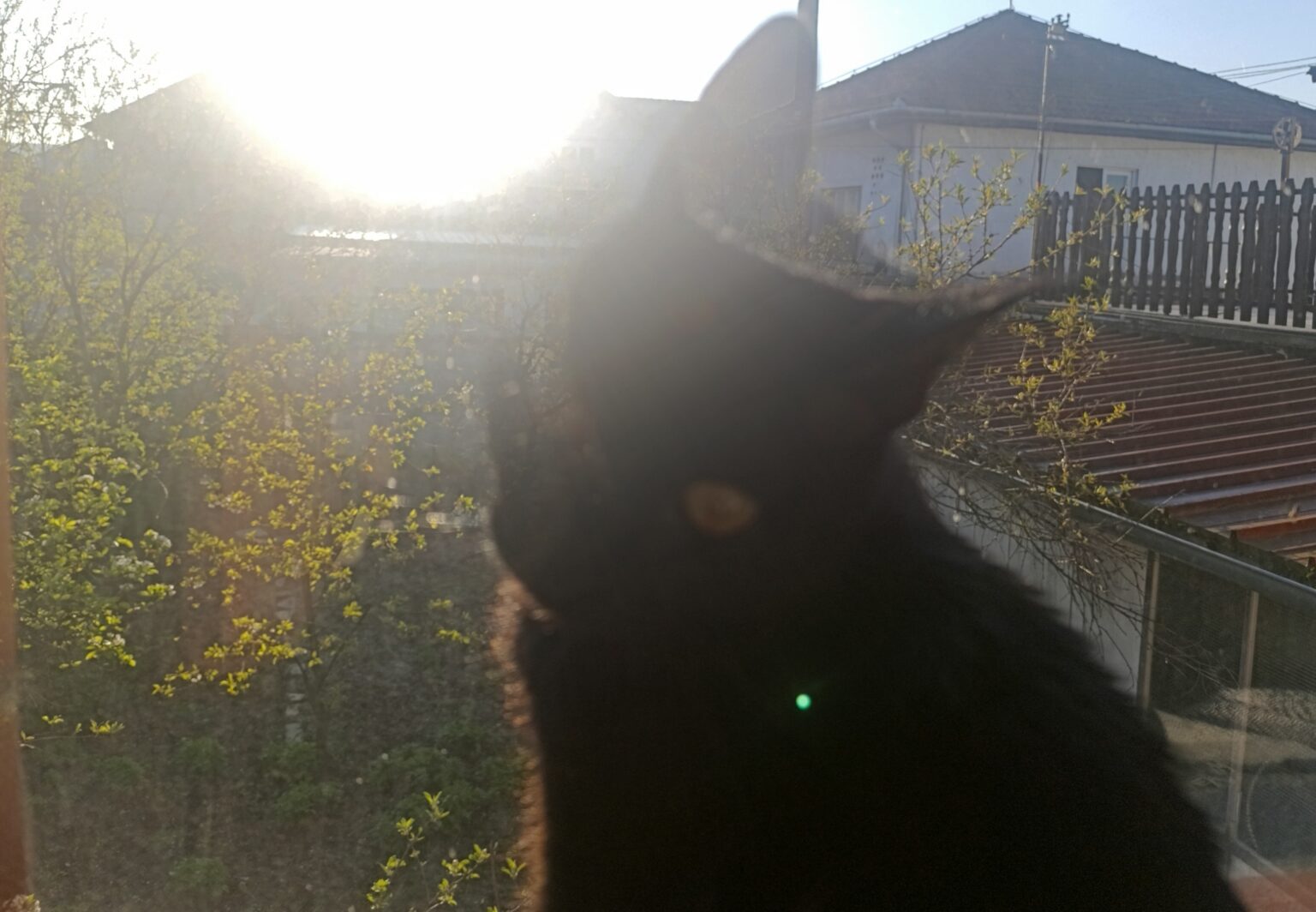 Dobro jutro: Samo petak