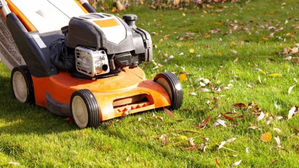 Vrtlar upozorio na greške kod košnje trave