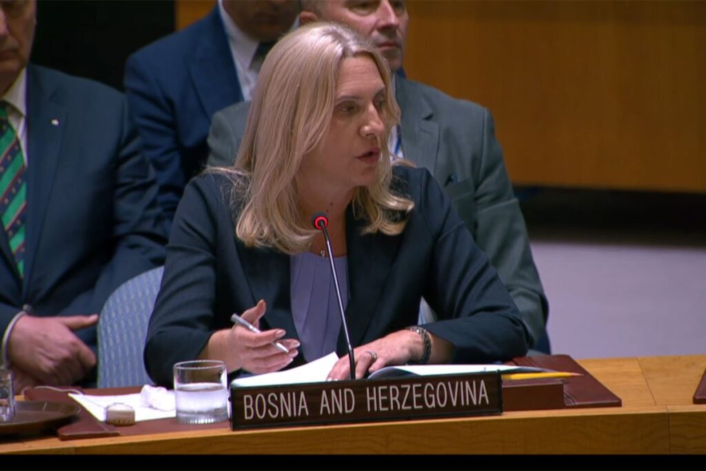 Cvijanović: Problem je Šmit