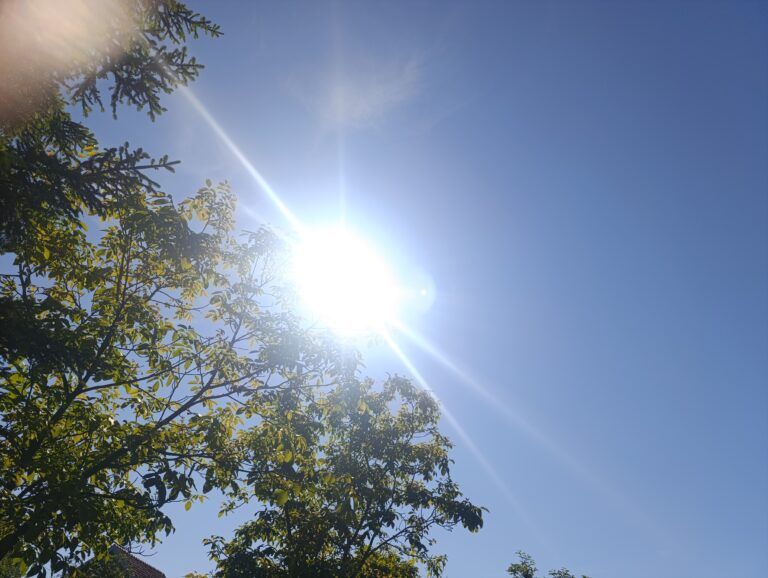 Danas sunčano i toplo