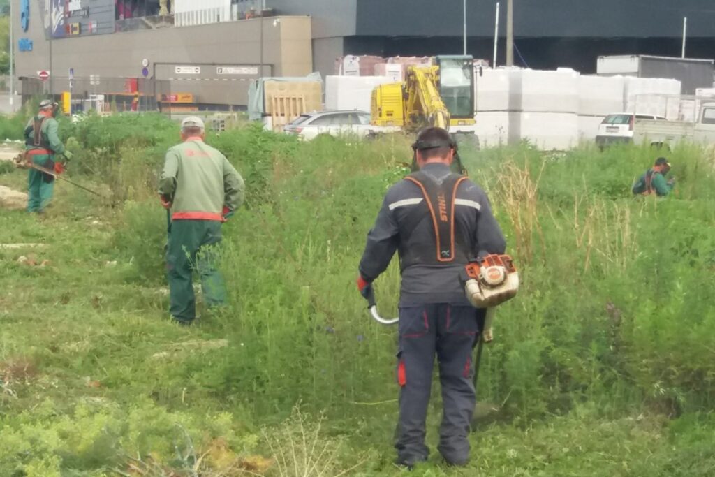 “Grad” kosi ambroziju: Poziv i za građane