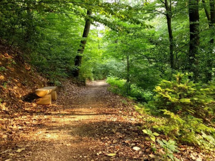 Apel Banjalučanima i turistima da ne idu stazom na Trešnjik