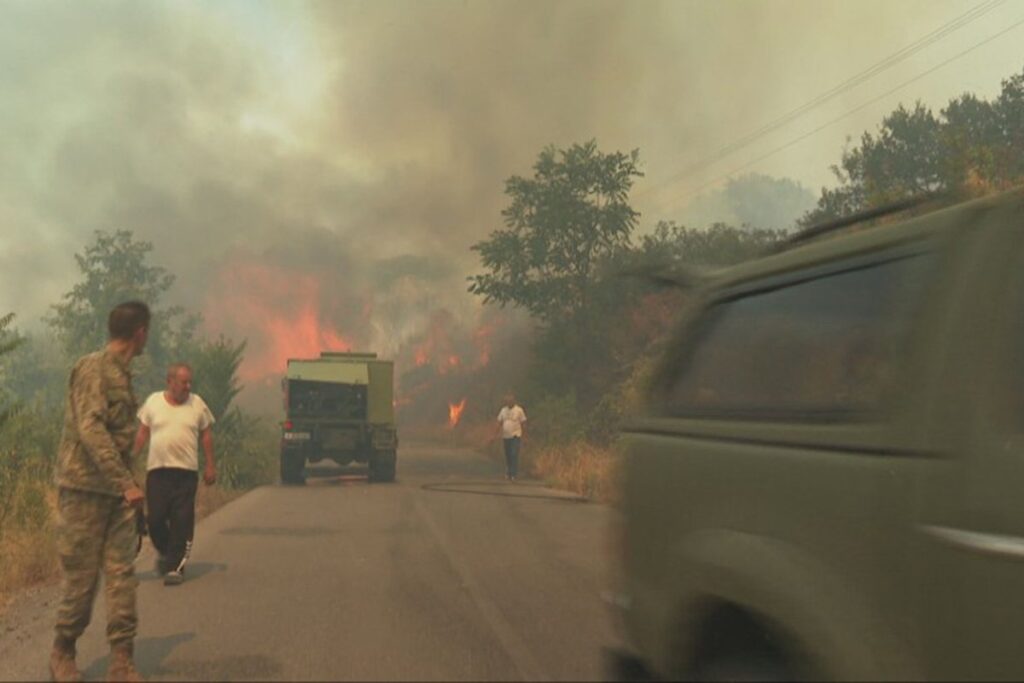 Vojnik u Crnoj Gori poginuo prilikom gašenja požara
