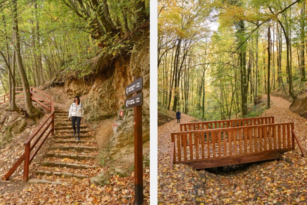 Obnova staze ka Trešnjiku završena