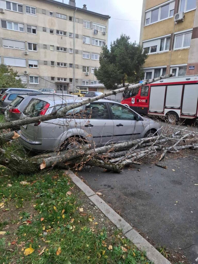 Vatrogasci sklanjali polomljeno granje