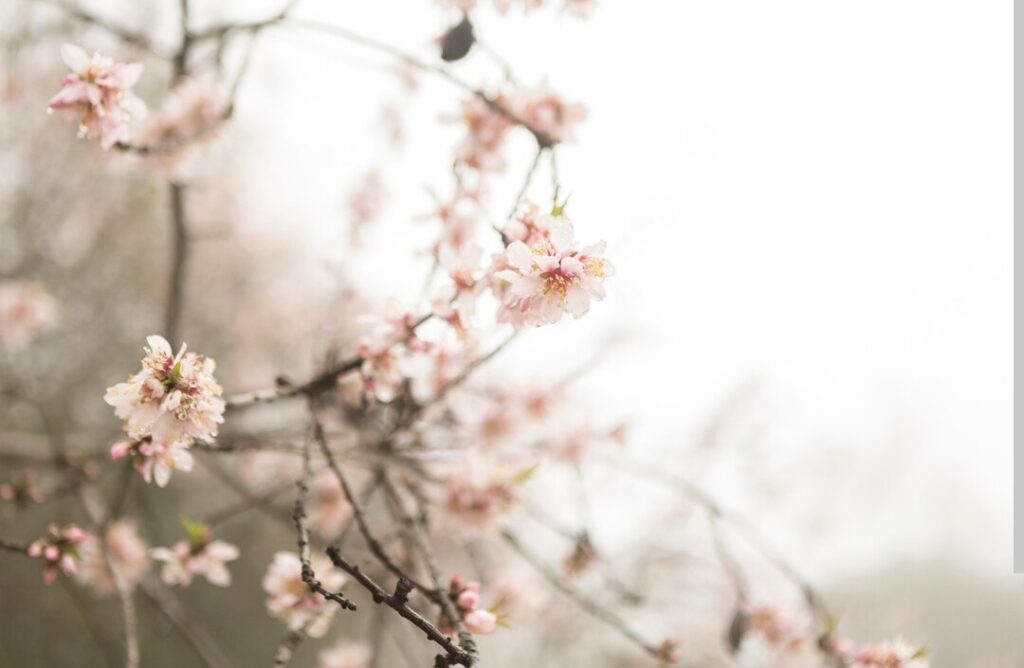 Slijedi nam sedam dana proljeća