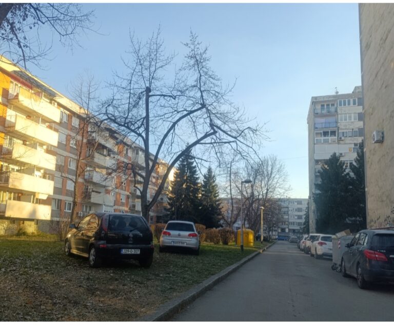 Parkinga nema, policija piše kazne