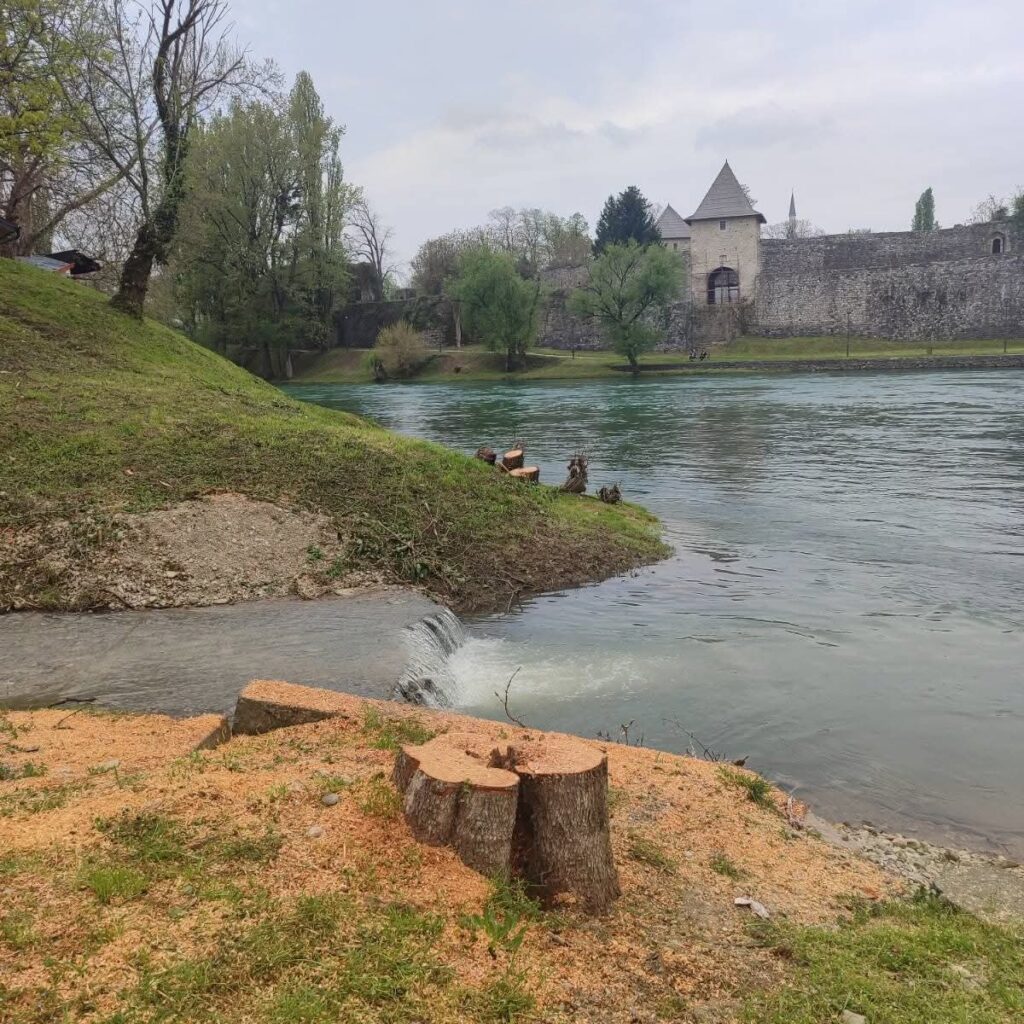 Digla se struka: Ali sad kad je sve posječeno